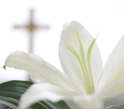 direct cremation services