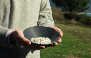 cremation services mississauga