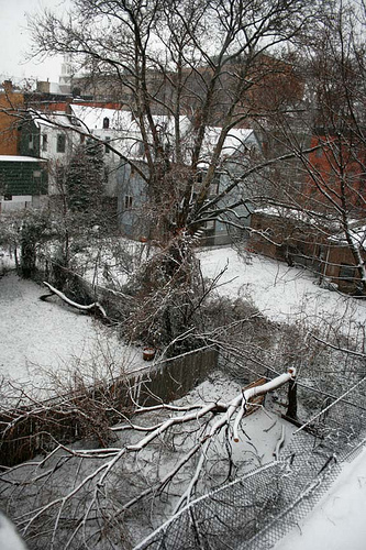 dealing with death during holiday